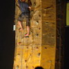   | Szavafest